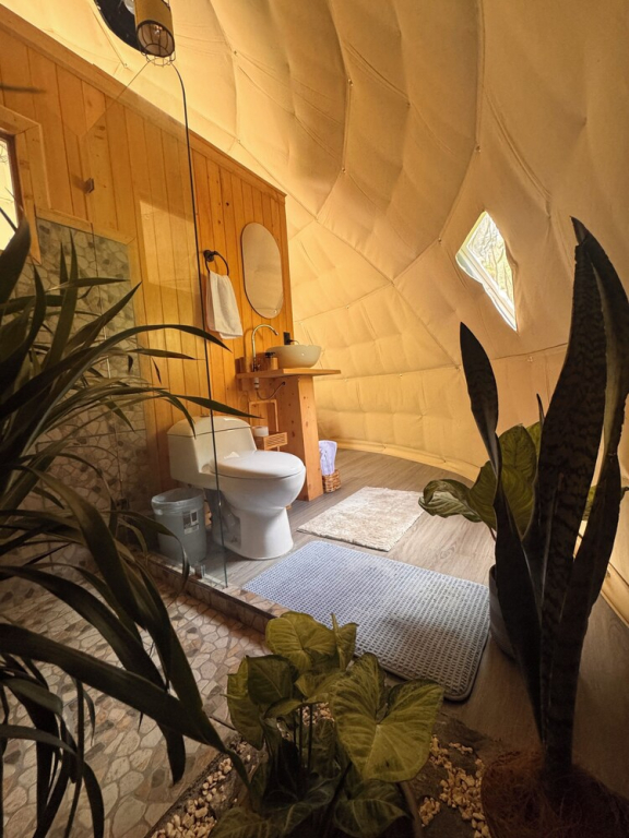 Epífita Glamping Monteverde
