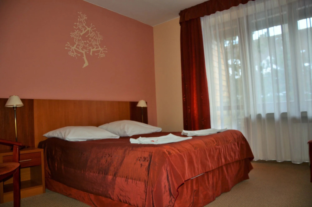 Hotel Boruta