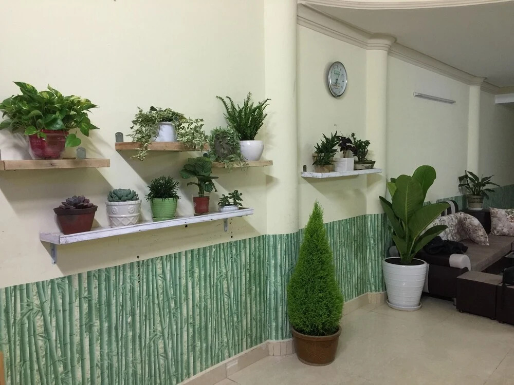 Rain Star 2 Hotel Da Lat