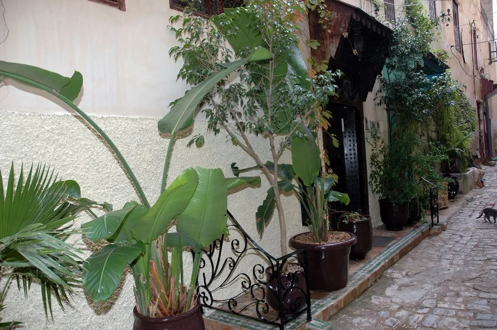 Riad Lahboul