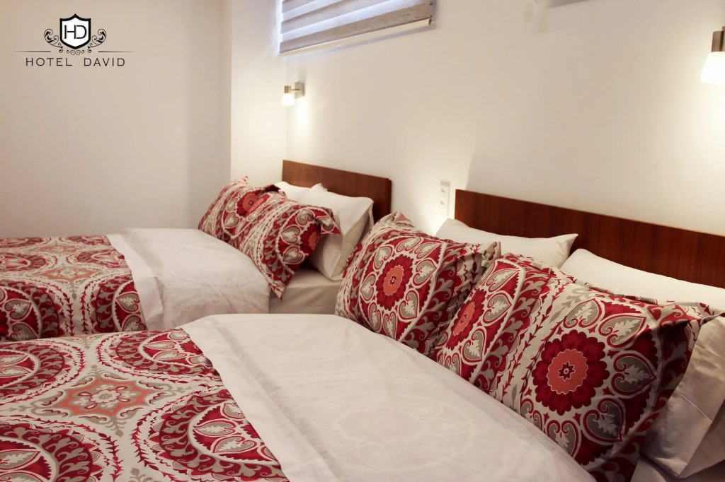 Hotel David