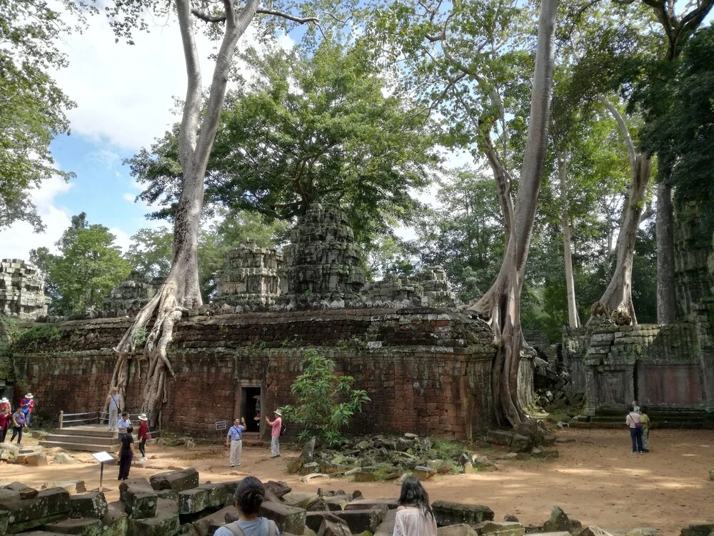 Firefly Guesthouse - The Berlin Angkor