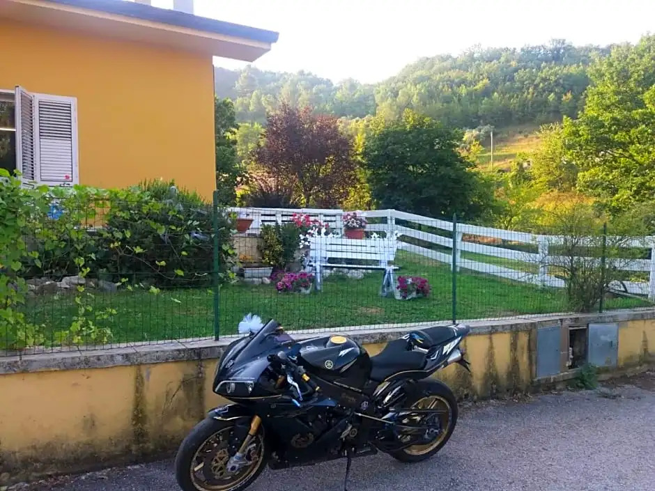 Il Rovo di More