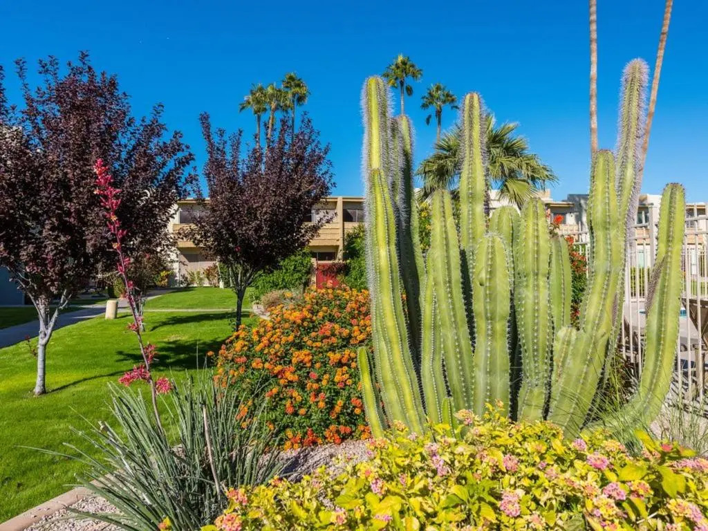 Beautifully Remodeled Old Scottsdale 2-Story Home