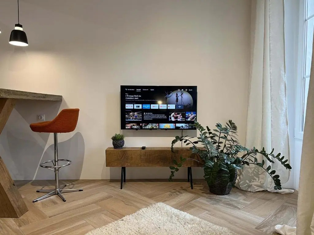 Bel appartement au centre du vieux Joigny