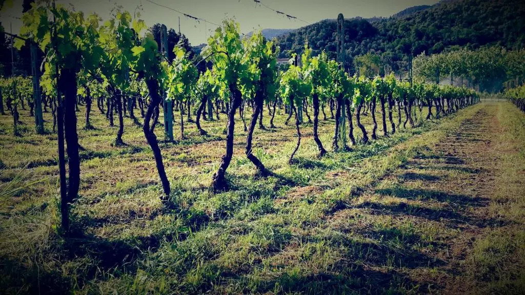 Agriturismo Magic Moments