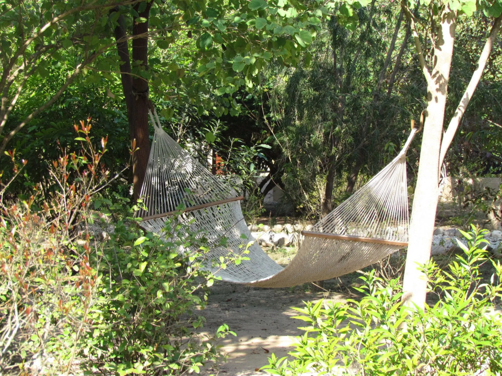 Jims Jungle Retreat