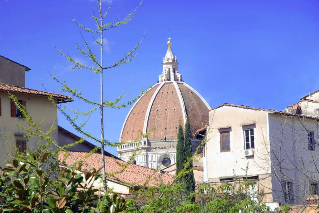 Florence Nice Flat