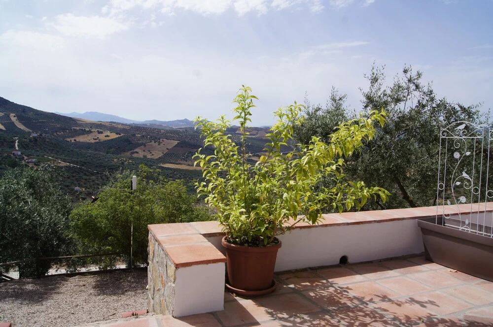Casa paz y mas
