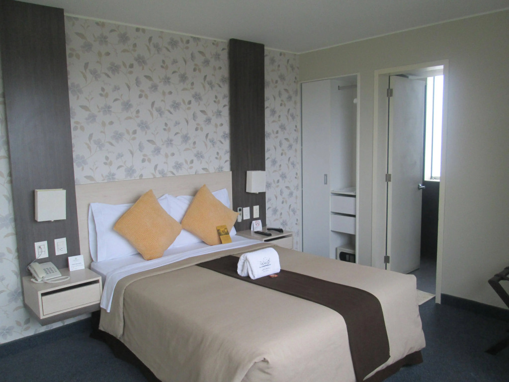 Palmetto Hotel Business San Miguel