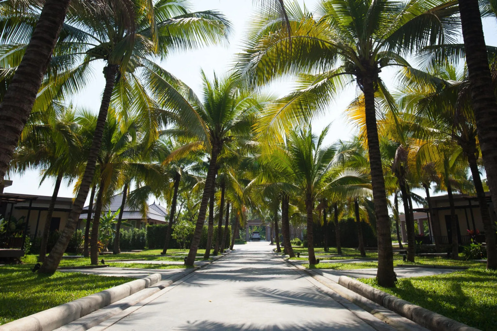 Dream Garden Resort