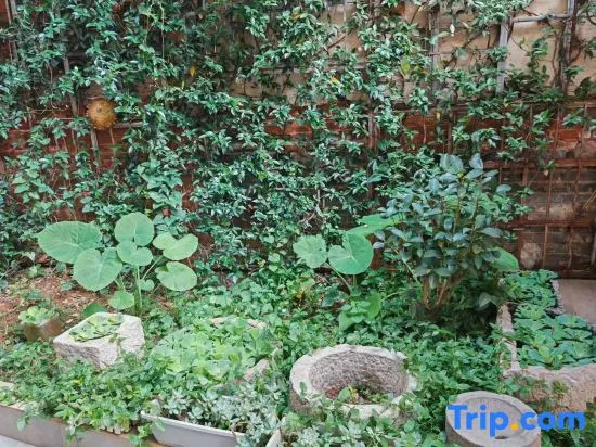 Kunming Qishan Bangshan Japanese Boutique Homestay