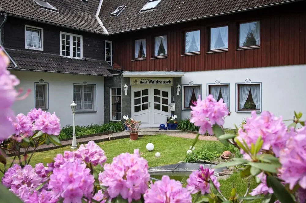 Hotel Waldrausch