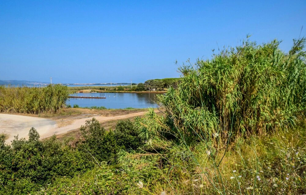 Beautiful Home in Ansedonia With Wifi and 4 Bedrooms