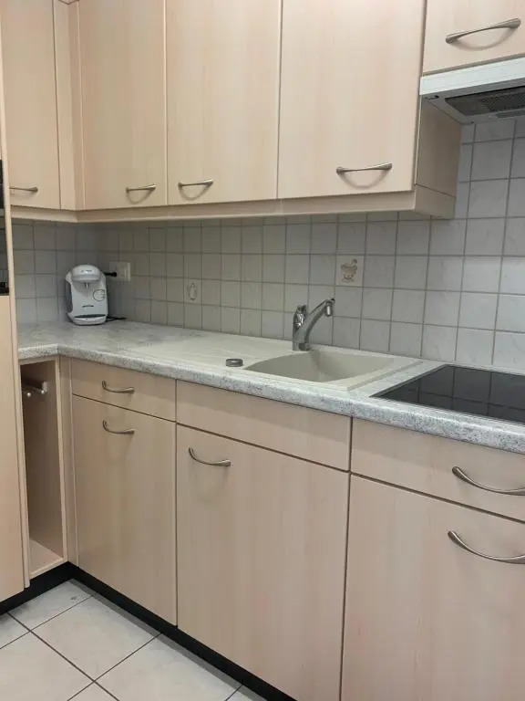 Appartement 1,5 pièce