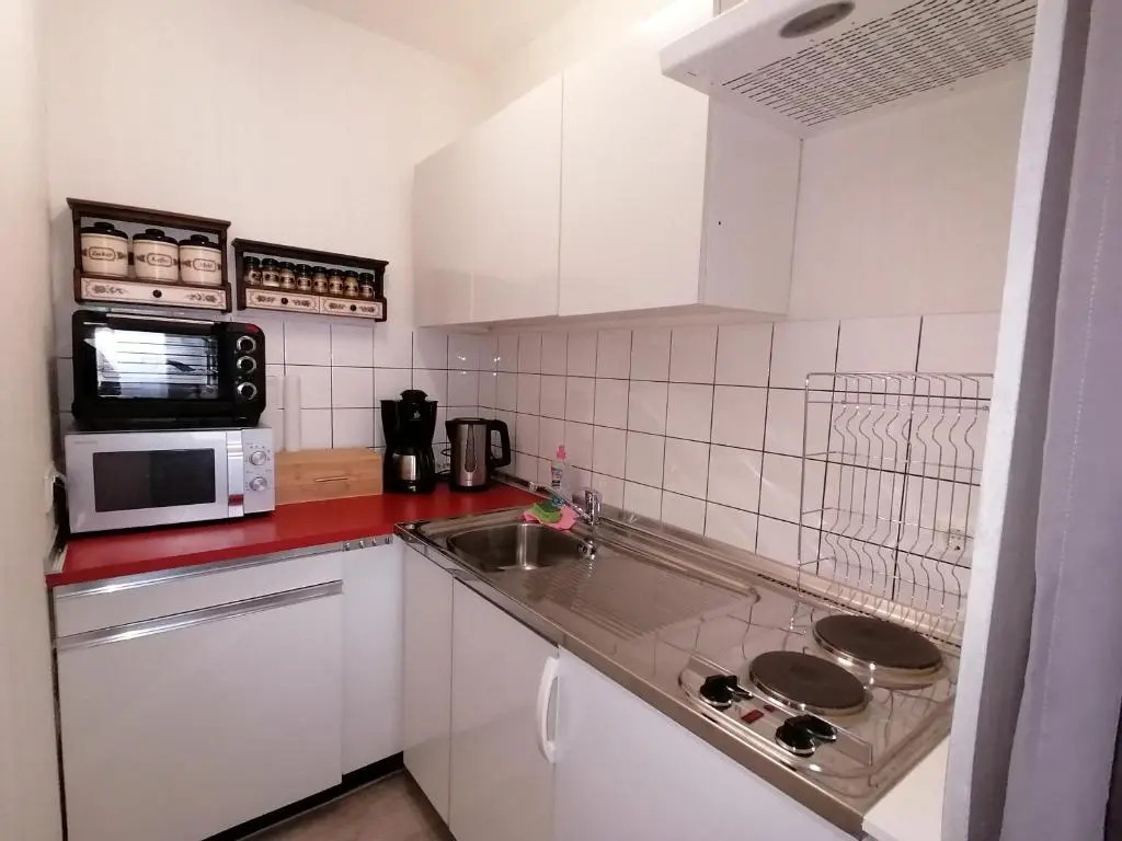 Schluchsee Ferienwohnung 1415