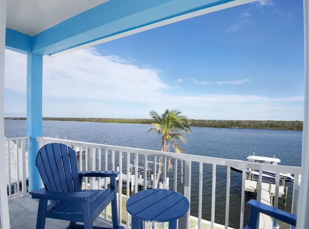 Blue Dolphin View