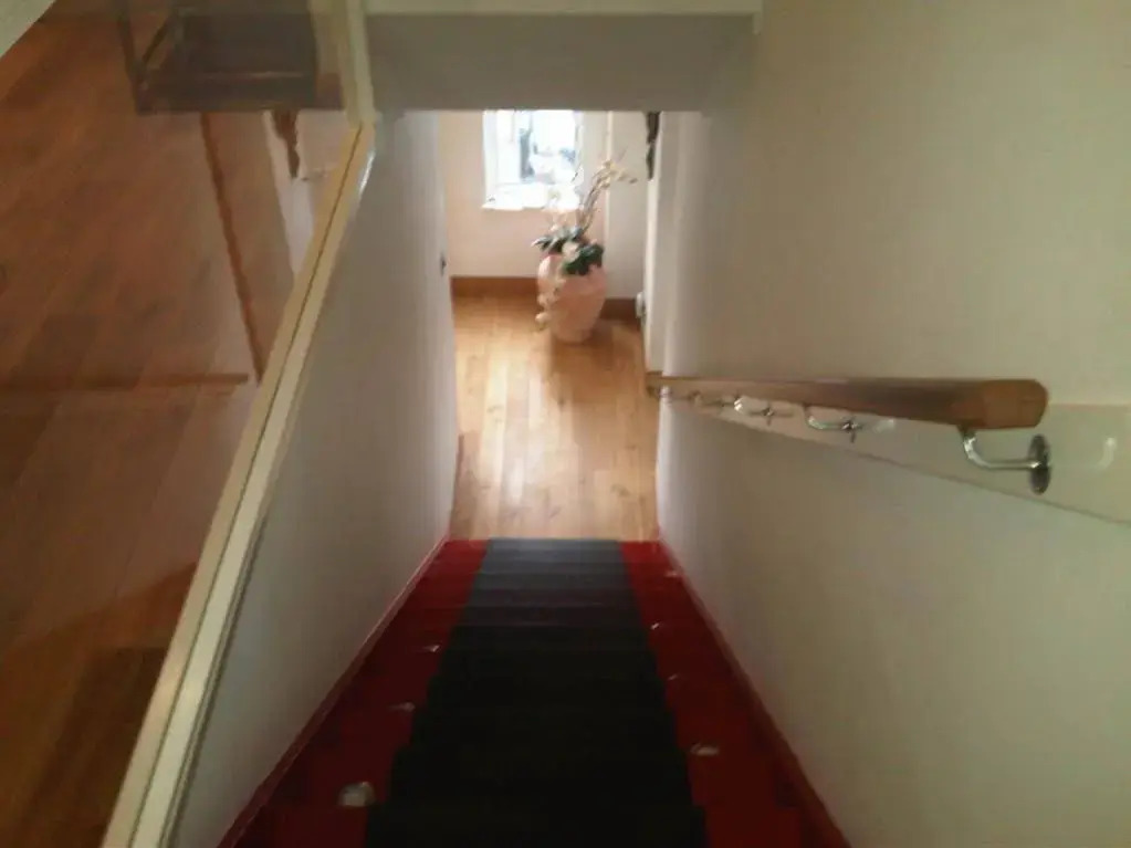 Acer Guest House