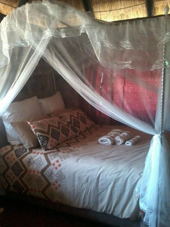 The elephant sounds lodge