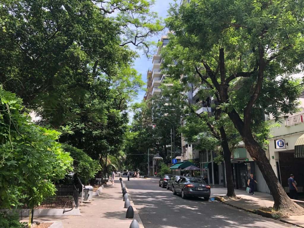 KUDOS Palermo Green kids-friendly