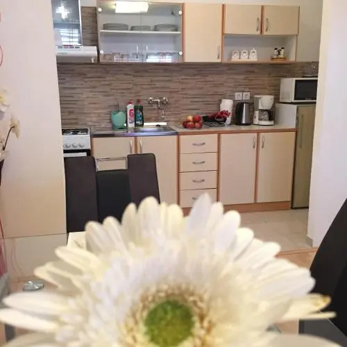 Apartments Stakic