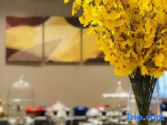 Homeinn Selected Hotel (Urumqi Railway Station Weixing Road)