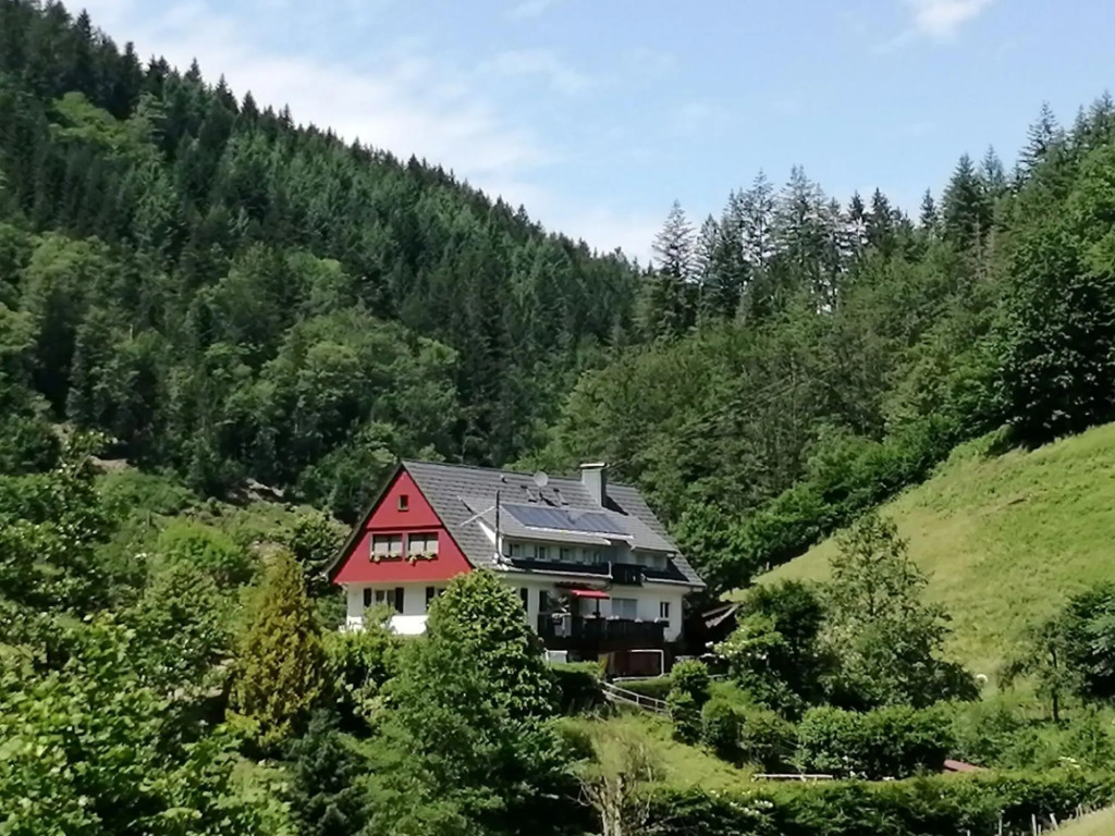 Comfy Apartment in Oppenau near Black Forest National Park