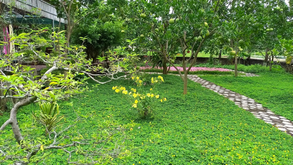 Yen Binh Homestay