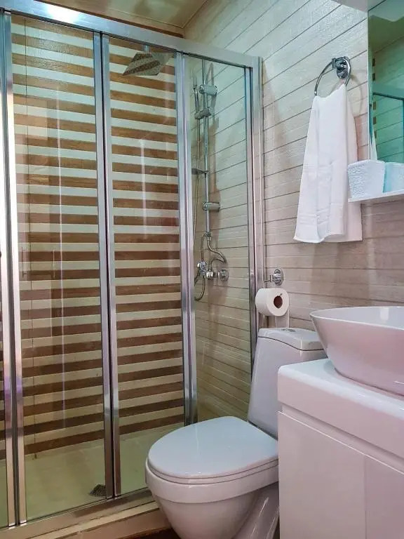 Apartment 315, Bakuriani
