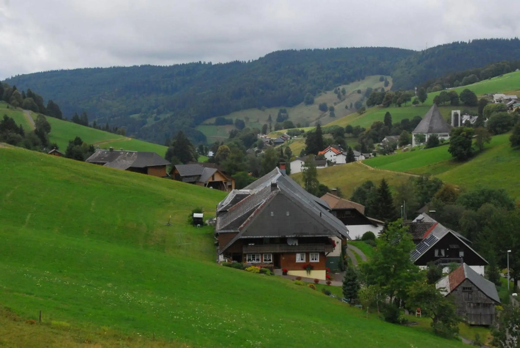 Drei Tannen