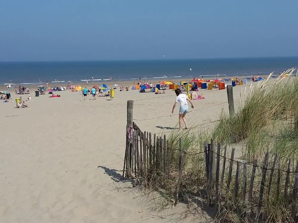 Apartment in Noordwijk Near North Sea Beach