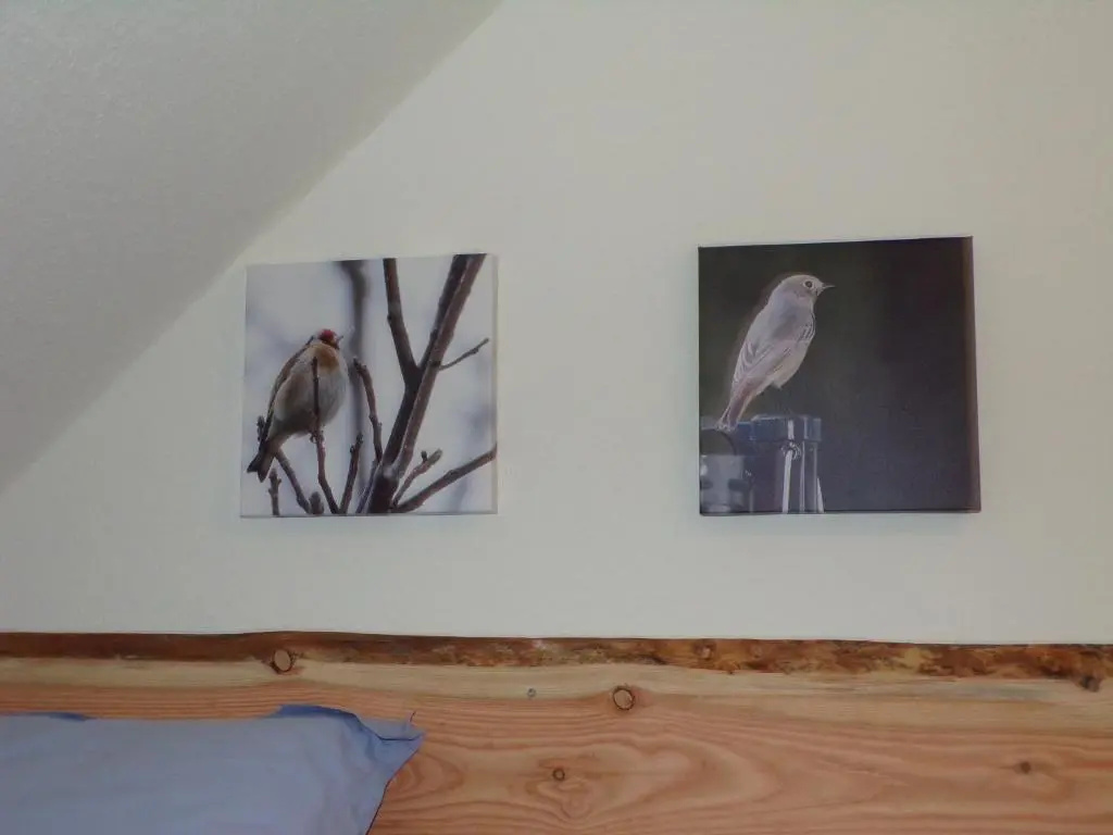 Naturferienhaus Luppbodemühle