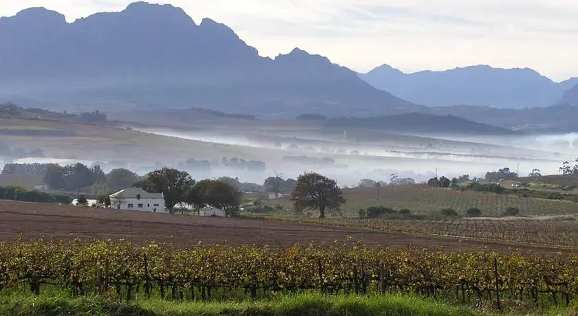 Allegria Guesthouse & Vineyard