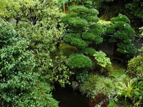 Ito Onsen Suihoen