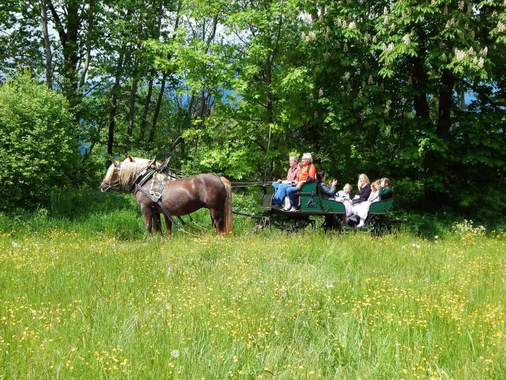 Landgasthof Buchner