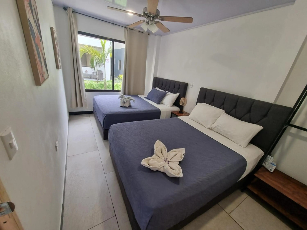 Ballena Rey Hotel