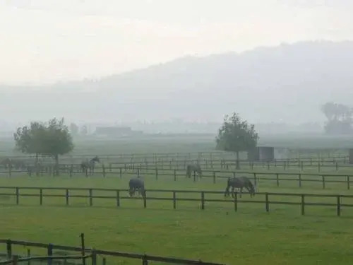 B&Logies Au-Galop