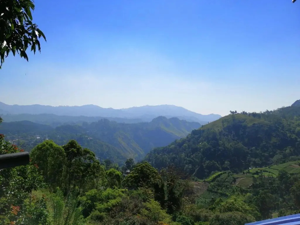 Will Guest Homestay