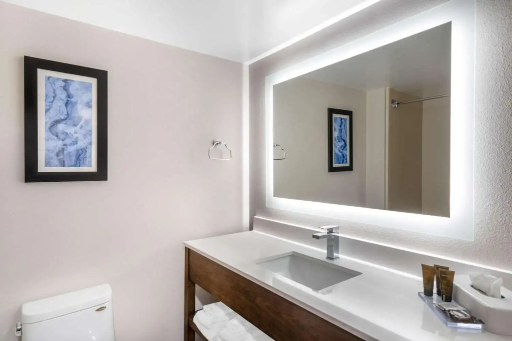 Holiday Inn Express & Suites - Mobile - I-65 by IHG