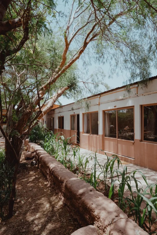 Vientos - La Yareta