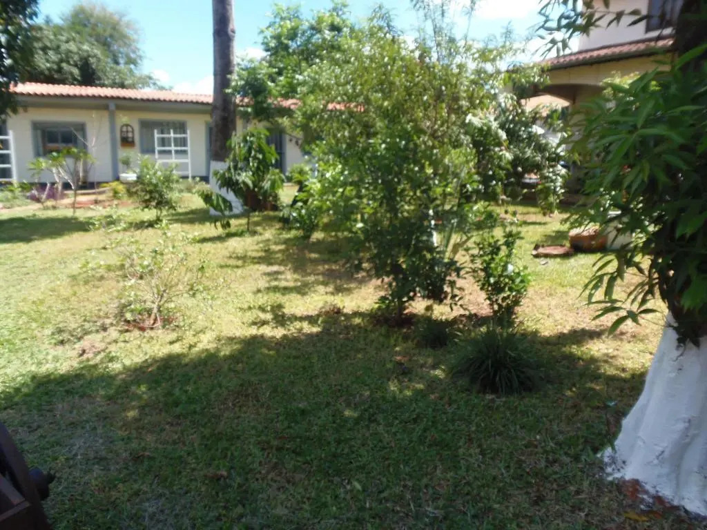 Meliza S Garden