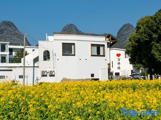 Shiwu Teahouse Inn