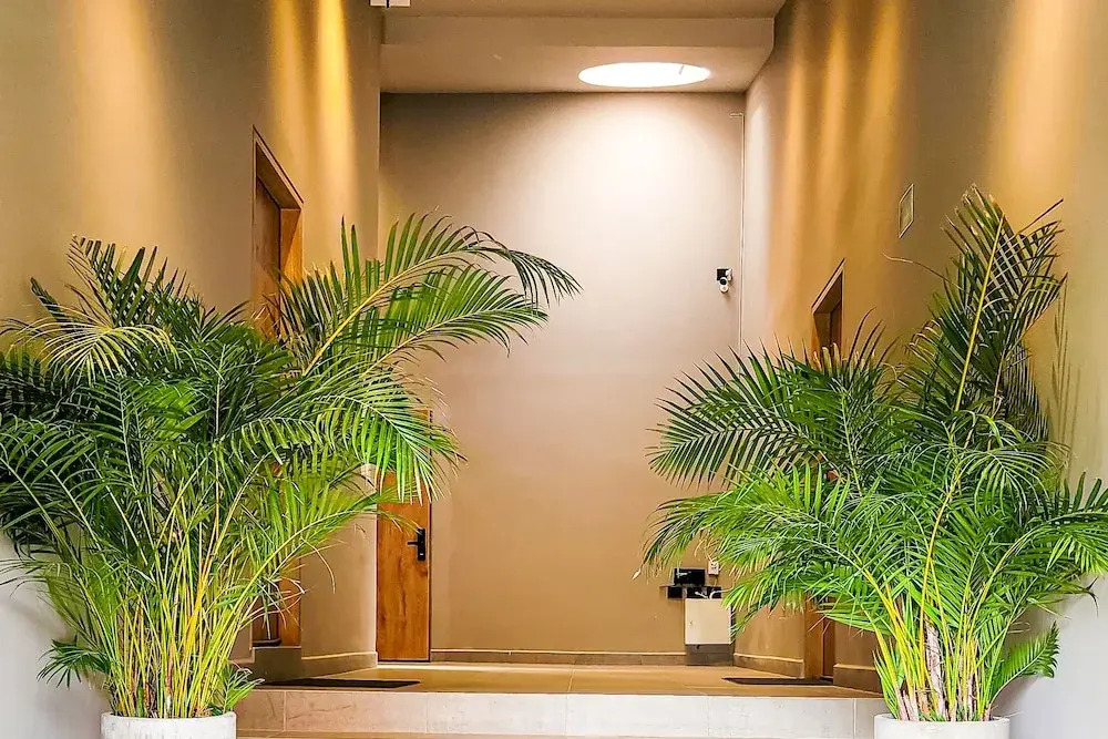 Las Lomas Luxury Lofts