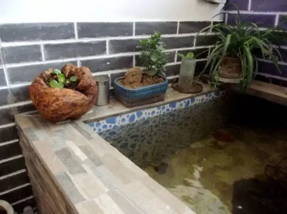 Qufu Lucheng Homestay