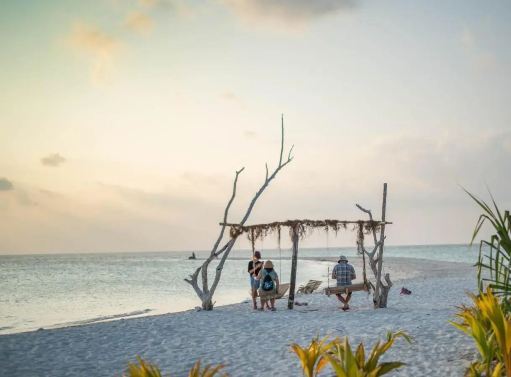 Turtle Maldives - Your Gateway to the Beach & Marine Adventures Await
