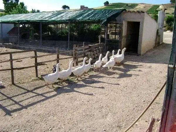 Agriturismo Fattoria Spezia