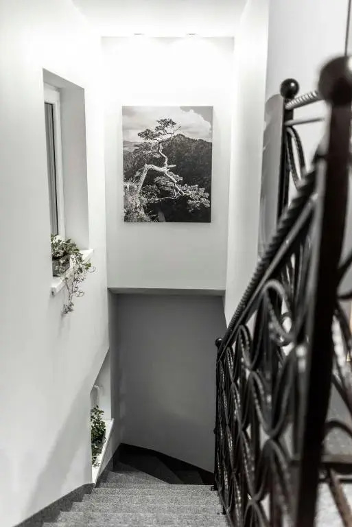 Apartamenty Kwiatowa w Szczawnicy BEZPŁATNY PARKING