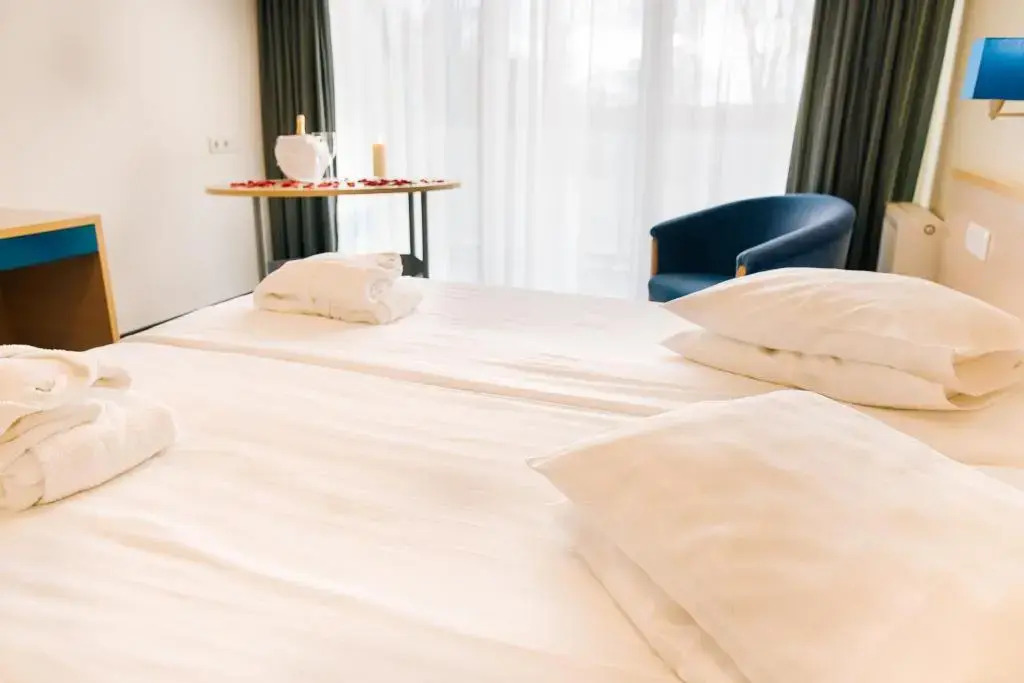 Asa Spa Hotel