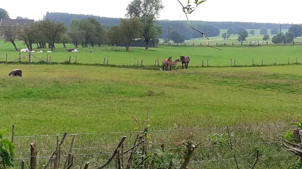 Au bord de lEau
