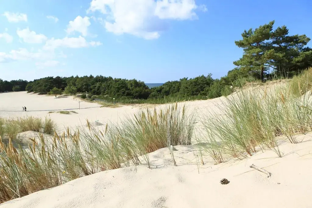 HAVET Hotel Resort & Spa